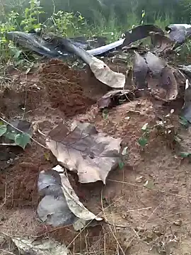 Snapshot of Gopal1243 chatting on 02/20/25, 12:04 Gopal1243 online show from 02/20/25, 12:04