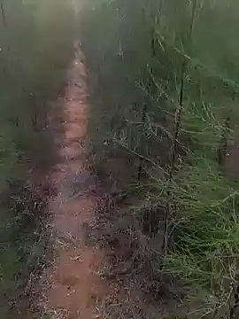 Snapshot of Gopal1243 chatting on 03/01/25, 01:22 Gopal1243 online show from 03/01/25, 01:22