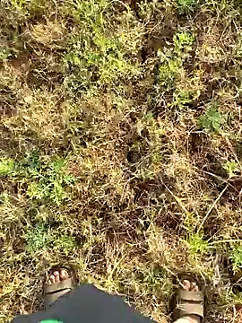 Snapshot of Gopal1243 chatting on 03/23/25, 02:15 Gopal1243 online show from 03/23/25, 02:15