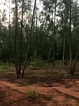 Snapshot of Gopal1243 chatting on 10/09/25, 01:58 Gopal1243 online show from 10/09/25, 01:58