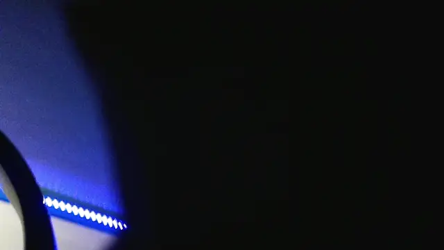 Snapshot of _prevision chatting on 12/25/24, 11:53 prevision online show from 12/25/24, 11:53