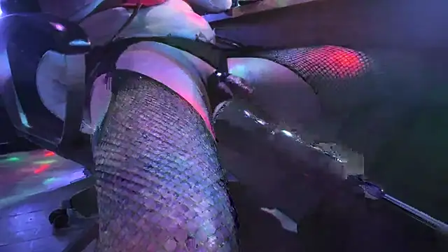 slankecrosdresser online show from 11/02/25, 12:57