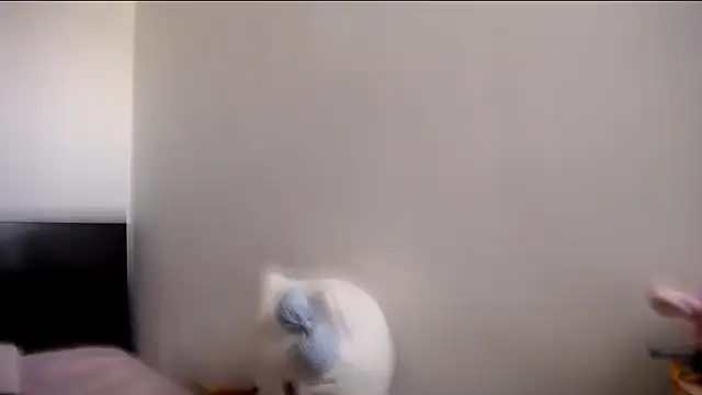 Snapshot of MARIANADIRTY chatting on 11/11/25, 02:17 MARIANADIRTY online show from 11/11/25, 02:17