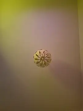 Snapshot of cuci45 chatting on 10/11/25, 06:28 cuci45 online show from 10/11/25, 06:28