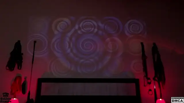 Amanita  Pantherina online show from 01/29/25, 05:19