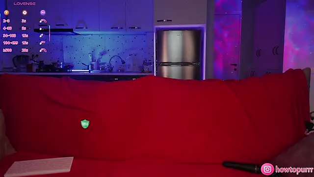 Snapshot of How2Meow chatting on 12/02/25, 04:46 How2Meow online show from 12/02/25, 04:46