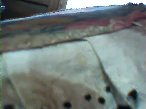 messi syssy online show from 02/25/25, 10:58