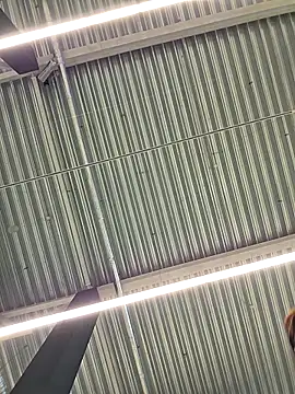 LeticiaWoods online show from 10/19/25, 12:28