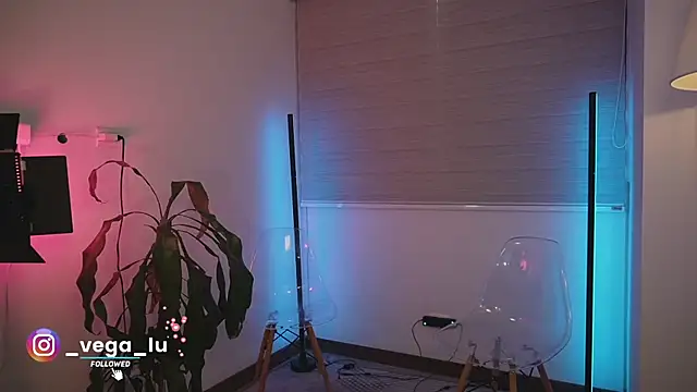 vegaa luck online show from 12/28/24, 10:13