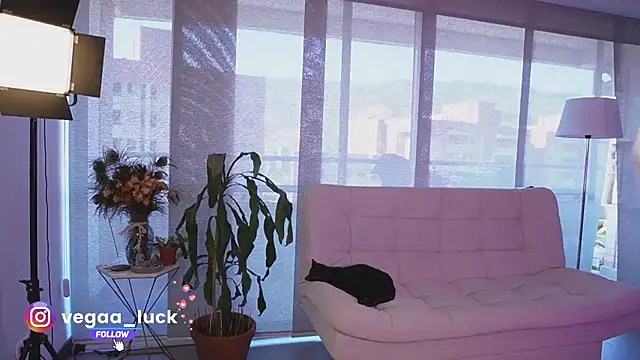vegaa luck online show from 01/23/25, 08:45