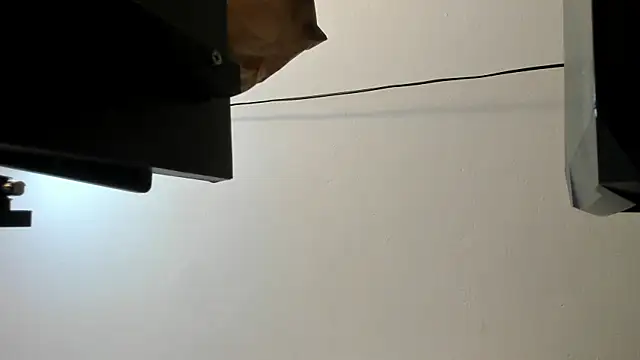 sarita loven online show from 07/29/26, 04:54