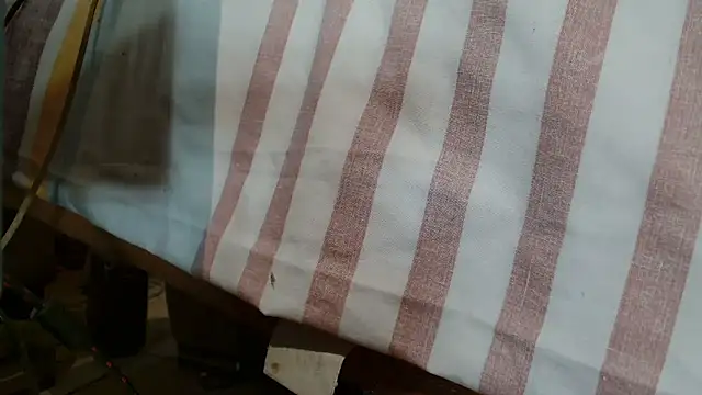 Snapshot of Vanessa117 chatting on 01/10/26, 06:31 Vanessa117 online show from 01/10/26, 06:31