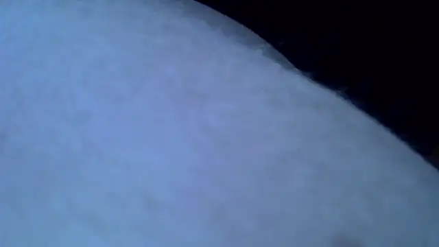 Snapshot of Mariomario0565 chatting on 01/31/25, 08:11 Mariomario0565 online show from 01/31/25, 08:11