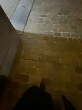 Thepanthera online show from 09/22/25, 04:47