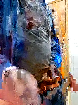 Snapshot of Jeffikuis chatting on 09/23/25, 03:31 Jeffikuis online show from 09/23/25, 03:31