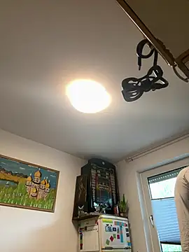 Toyjungee online show from 06/11/26, 04:38
