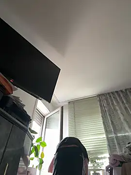 Toyjungee online show from 07/27/26, 11:39