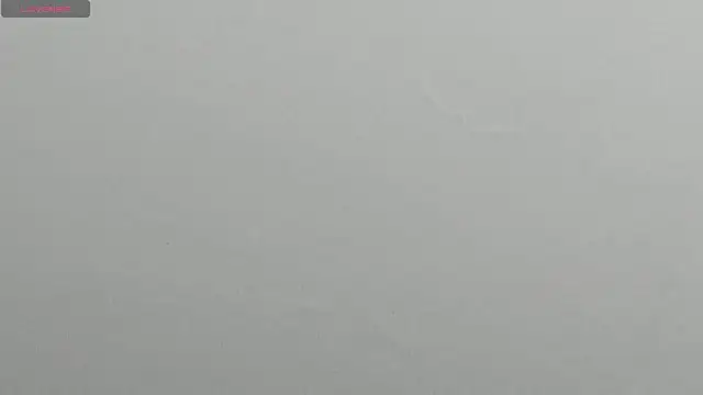 natasha logan  online show from 03/11/25, 03:59