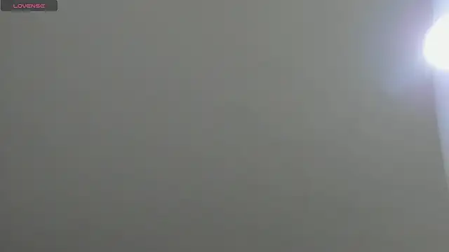 natasha logan  online show from 03/17/25, 04:08