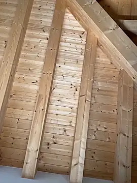 Snapshot of Fellix chatting on 10/27/25, 11:47 Fellix online show from 10/27/25, 11:47