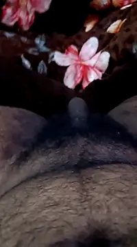 Snapshot of Naughtyforpussy chatting on 02/01/25, 11:27 Naughtyforpussy online show from 02/01/25, 11:27