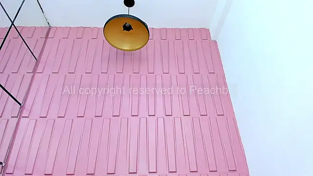 Snapshot of Briana_Wells_ chatting on 09/19/25, 02:07 Briana Wells online show from 09/19/25, 02:07