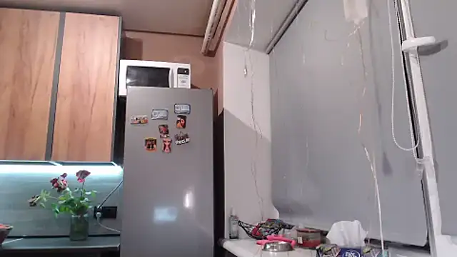 delightful sofi online show from 06/07/26, 06:44