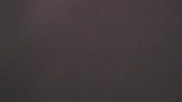 xiomara  cortes online show from 01/14/25, 10:12