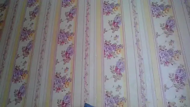 Skills  online show from 12/05/24, 05:26