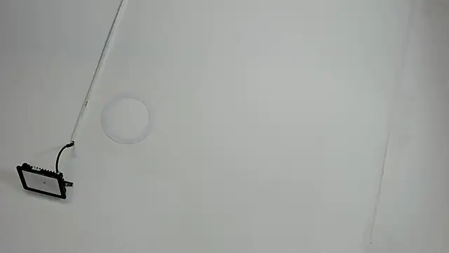 CeliWoods online show from 10/12/25, 11:20