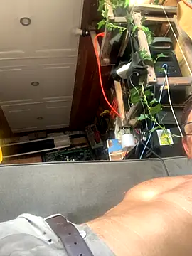 Snapshot of Likewise chatting on 12/18/25, 08:48 Likewise online show from 12/18/25, 08:48