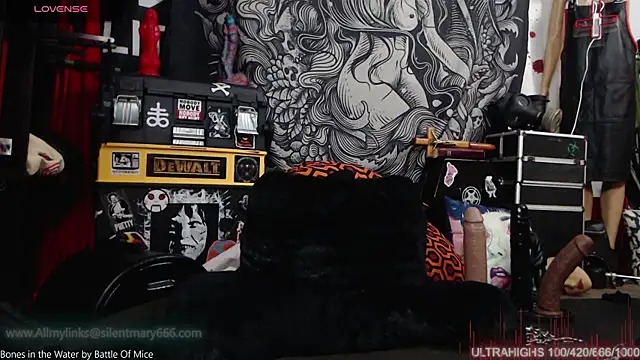 Silentmary online show from 12/15/24, 11:42