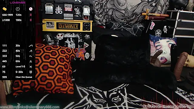 Silentmary online show from 12/28/24, 07:43