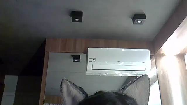 Skinny-Kitten online show from 09/30/25, 09:31