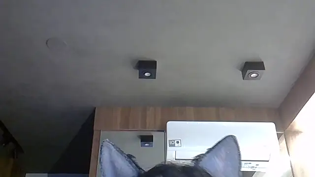 Skinny-Kitten online show from 10/31/25, 09:21