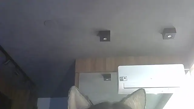 Skinny-Kitten online show from 12/01/25, 09:47