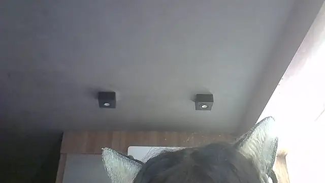 Skinny-Kitten online show from 05/12/26, 11:51