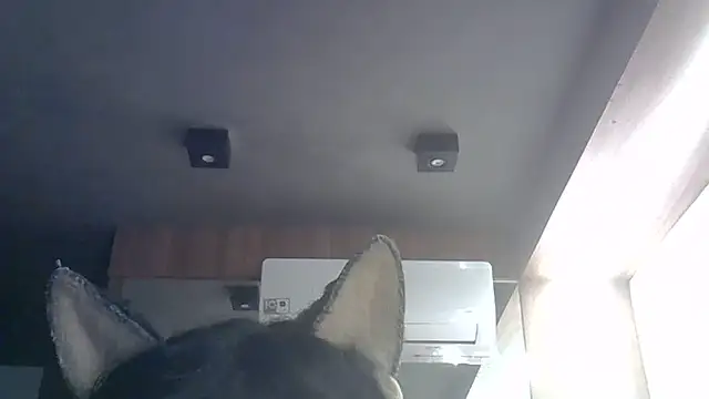 Skinny-Kitten online show from 05/29/26, 09:29