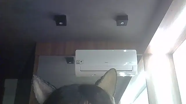Skinny-Kitten online show from 06/02/26, 03:52