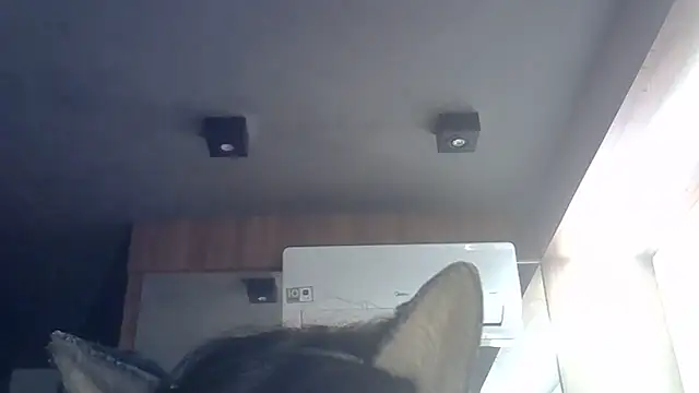 Skinny-Kitten online show from 06/09/26, 09:32