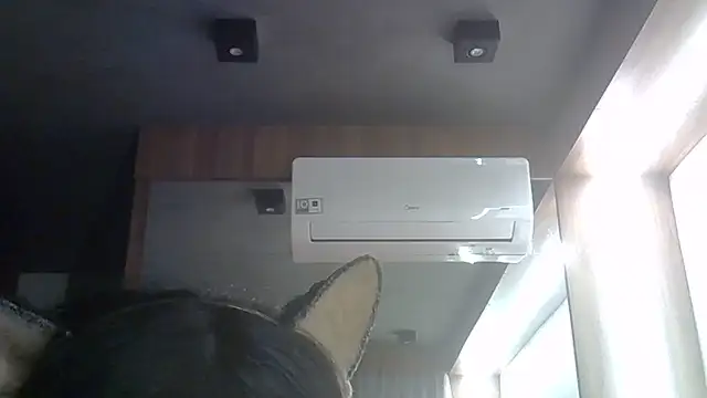 Skinny-Kitten online show from 06/12/26, 11:35