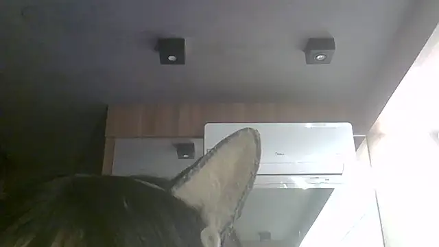 Skinny-Kitten online show from 07/11/26, 11:35