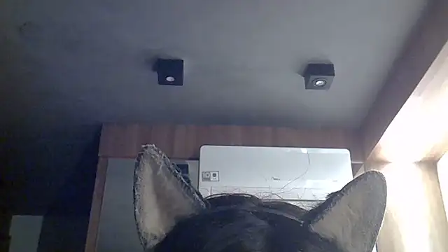 Skinny-Kitten online show from 07/12/26, 07:43