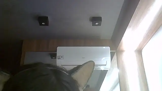 Skinny-Kitten online show from 07/21/26, 04:09