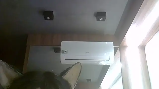 Skinny-Kitten online show from 07/24/26, 04:10