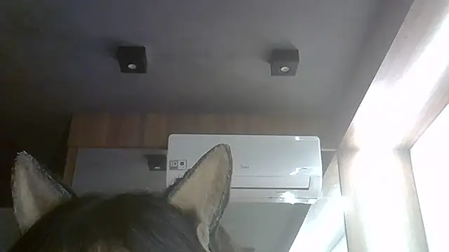 Skinny-Kitten online show from 07/28/26, 05:25