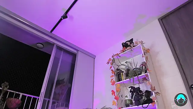 sofi elfqueen online show from 12/14/24, 03:40
