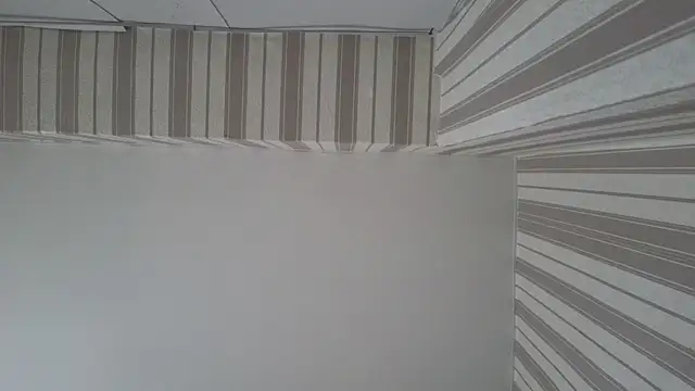 lily  foster online show from 09/22/25, 05:42