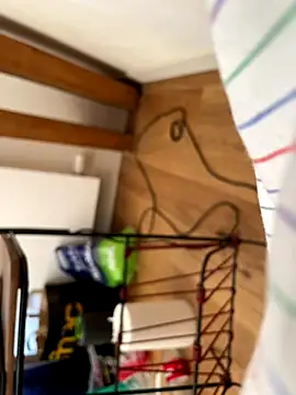 la chiennete online show from 09/27/25, 01:05