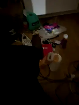 la chiennete online show from 12/01/25, 08:36